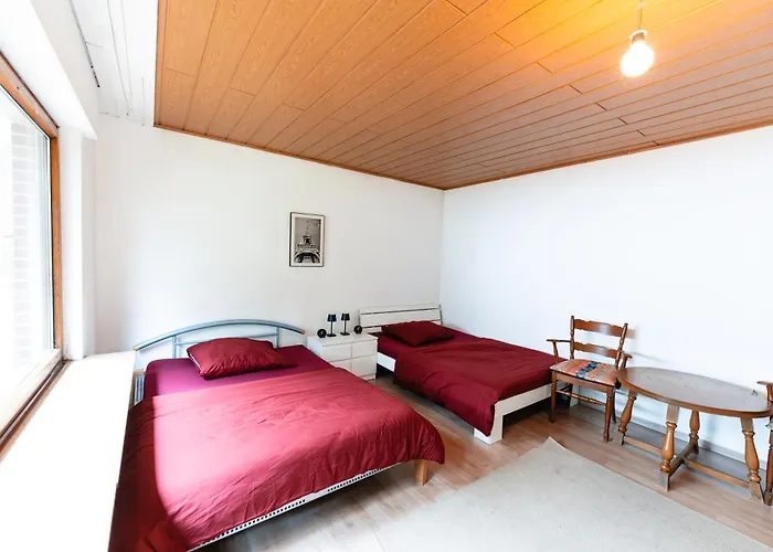 Monteurgut Kastanie * Marren